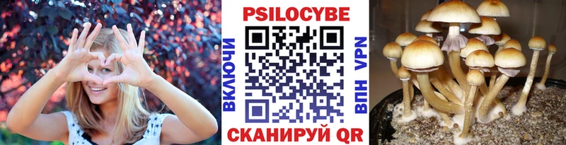 Псилоцибиновые грибы Psilocybine cubensis  Сухой Лог 